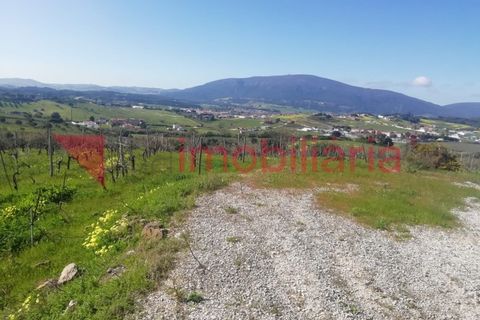 Helårsgrund i Alenquer, Lisbon, Alenquer - € 30.000 | Ref: 214002002 - foto 5