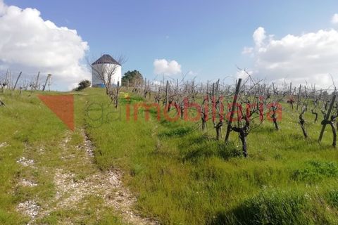 Helårsgrund i Alenquer, Lisbon, Alenquer - € 30.000 | Ref: 214002002 - foto 6