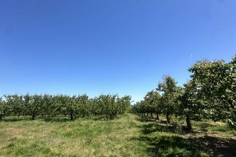 Villa a Larnage, Drome, Larnage - € 135.000 | Ref: VM913-ALLEMAND - foto 6