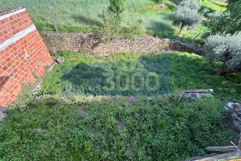 Landhuis in Murca, Vila Real, Murca - € 32.500 | Ref: CAS_1409 - foto 13