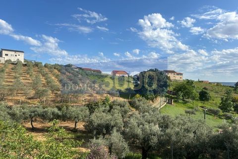 Landejendom i Murca, Vila Real, Murca - € 25.000 | Ref: CAS_1408 - foto 1