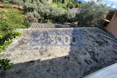 Landejendom i Murca, Vila Real, Murca - € 25.000 | Ref: CAS_1408 - foto 2
