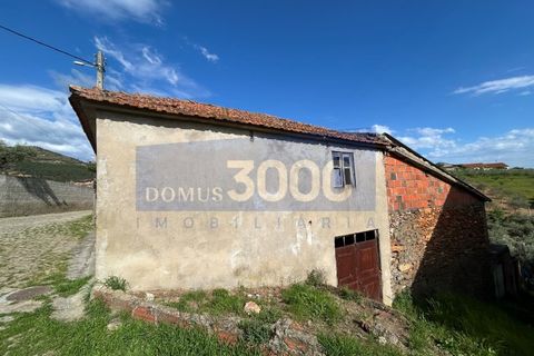 Landejendom i Murca, Vila Real, Murca - € 25.000 | Ref: CAS_1408 - foto 10