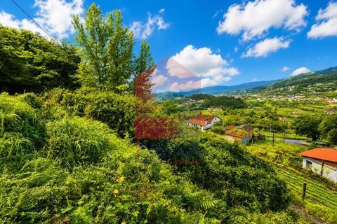 Helårsgrund i Vila Verde, Braga, Vila Verde - € 17.500 | Ref: 08867 - foto 6