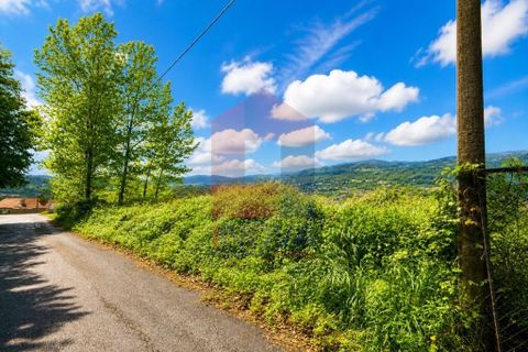 Helårsgrund i Vila Verde, Braga, Vila Verde - € 17.500 | Ref: 08867 - foto 11