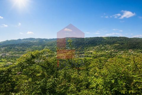Helårsgrund i Vila Verde, Braga, Vila Verde - € 17.500 | Ref: 08867 - foto 16