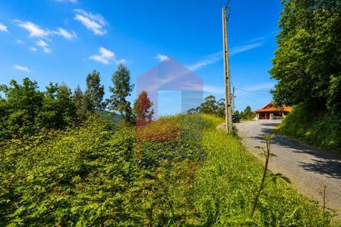Helårsgrund i Vila Verde, Braga, Vila Verde - € 17.500 | Ref: 08867 - foto 18