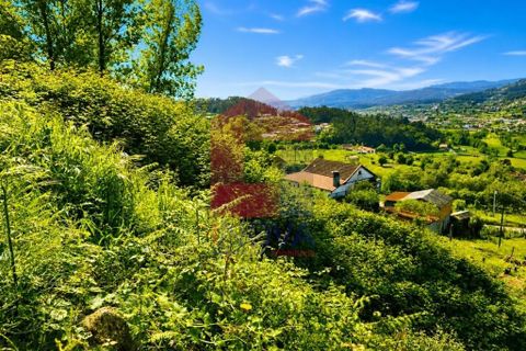 Helårsgrund i Vila Verde, Braga, Vila Verde - € 17.500 | Ref: 08867 - foto 20