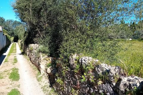 Helårsgrund i Estoi, Faro, Estoi - € 200.000 | Ref: 2208 - foto 6