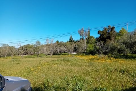 Helårsgrund i Estoi, Faro, Estoi - € 200.000 | Ref: 2208 - foto 2