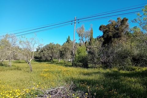 Helårsgrund i Estoi, Faro, Estoi - € 200.000 | Ref: 2208 - foto 3