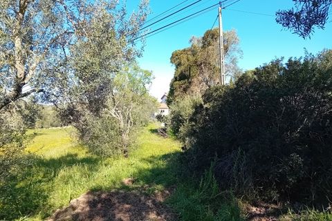 Helårsgrund i Estoi, Faro, Estoi - € 200.000 | Ref: 2208 - foto 5