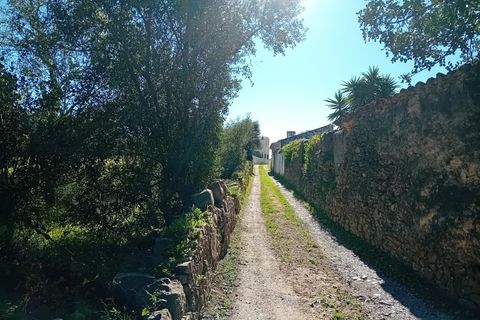 Helårsgrund i Estoi, Faro, Estoi - € 200.000 | Ref: 2208 - foto 7