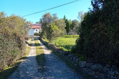 Helårsgrund i Estoi, Faro, Estoi - € 200.000 | Ref: 2208 - foto 8