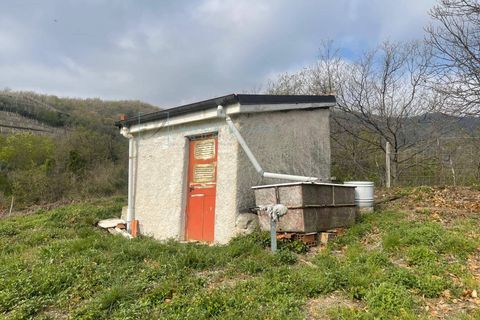 Terra a Caravonica, Imperia, Caravonica - € 60.000 | Ref: 1036 - foto 2