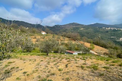 Terra a Caravonica, Imperia, Caravonica - € 60.000 | Ref: 1036 - foto 4