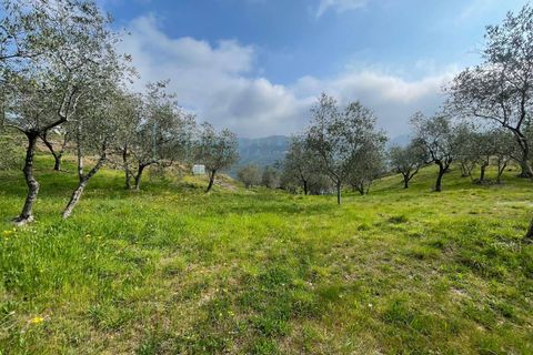 Terra a Caravonica, Imperia, Caravonica - € 60.000 | Ref: 1036 - foto 5