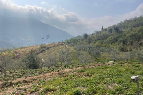 Terra a Caravonica, Imperia, Caravonica - € 60.000 | Ref: 1036 - foto 6