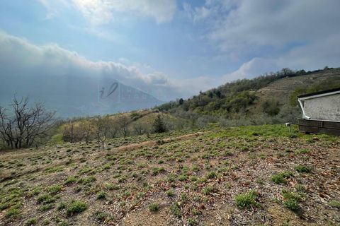 Terra a Caravonica, Imperia, Caravonica - € 60.000 | Ref: 1036 - foto 8