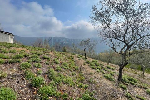 Terra a Caravonica, Imperia, Caravonica - € 60.000 | Ref: 1036 - foto 10