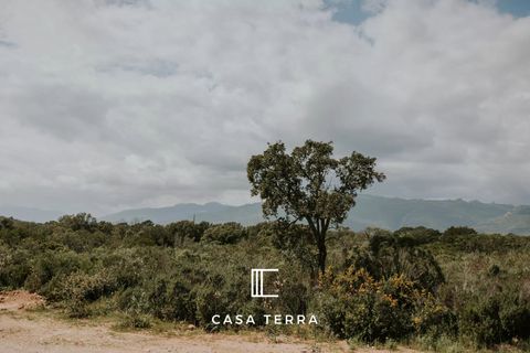 Villa em Lecci, Corse-du-Sud, Lecci - € 1.650.000 | Ref: 86949027 - foto 17