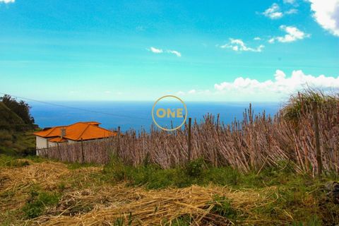 Helårsgrund i Ponta do Sol, Madeira, Ponta do Sol - € 120.000 | Ref: ONE361961-30 - foto 1