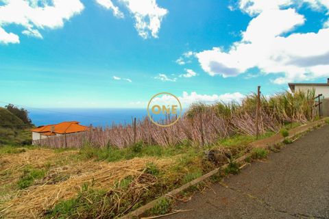 Helårsgrund i Ponta do Sol, Madeira, Ponta do Sol - € 120.000 | Ref: ONE361961-30 - foto 2