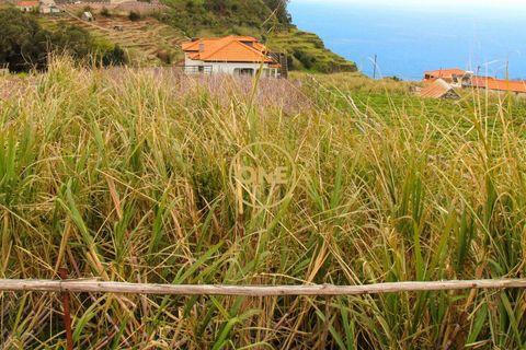 Helårsgrund i Ponta do Sol, Madeira, Ponta do Sol - € 120.000 | Ref: ONE361961-30 - foto 3