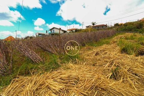 Helårsgrund i Ponta do Sol, Madeira, Ponta do Sol - € 120.000 | Ref: ONE361961-30 - foto 4