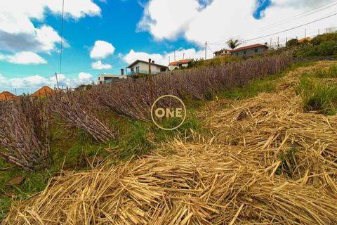 Helårsgrund i Ponta do Sol, Madeira, Ponta do Sol - € 120.000 | Ref: ONE361961-30 - foto 5