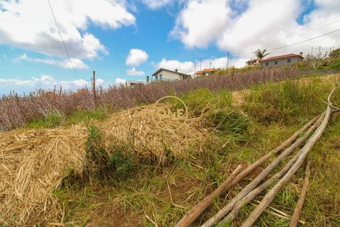 Helårsgrund i Ponta do Sol, Madeira, Ponta do Sol - € 120.000 | Ref: ONE361961-30 - foto 6
