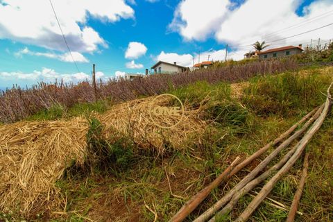 Helårsgrund i Ponta do Sol, Madeira, Ponta do Sol - € 120.000 | Ref: ONE361961-30 - foto 7