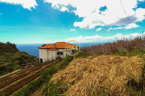 Helårsgrund i Ponta do Sol, Madeira, Ponta do Sol - € 120.000 | Ref: ONE361961-30 - foto 8