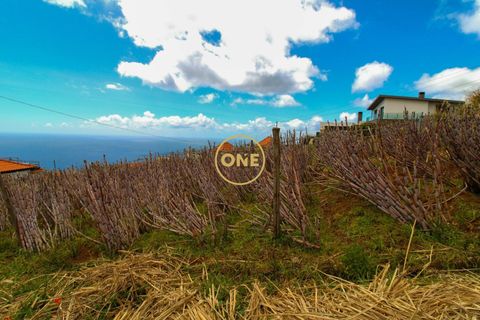 Helårsgrund i Ponta do Sol, Madeira, Ponta do Sol - € 120.000 | Ref: ONE361961-30 - foto 9