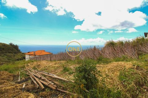 Helårsgrund i Ponta do Sol, Madeira, Ponta do Sol - € 120.000 | Ref: ONE361961-30 - foto 10