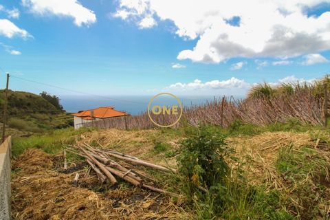 Helårsgrund i Ponta do Sol, Madeira, Ponta do Sol - € 120.000 | Ref: ONE361961-30 - foto 11