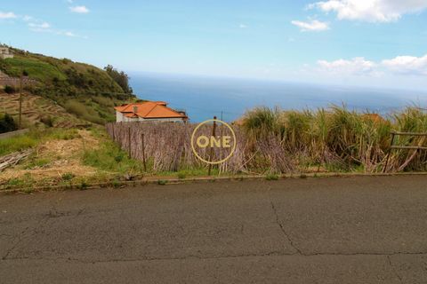 Helårsgrund i Ponta do Sol, Madeira, Ponta do Sol - € 120.000 | Ref: ONE361961-30 - foto 12