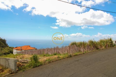 Helårsgrund i Ponta do Sol, Madeira, Ponta do Sol - € 120.000 | Ref: ONE361961-30 - foto 13