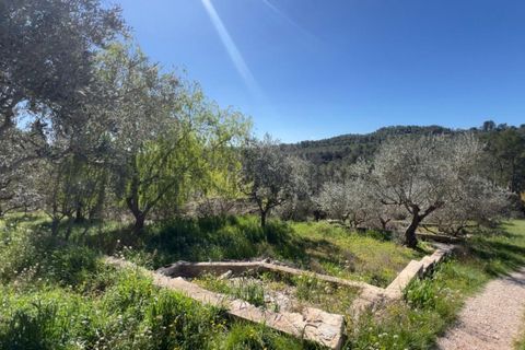 Villa a Barjols, Var, Barjols - € 247.000 | Ref: 747 - foto 17