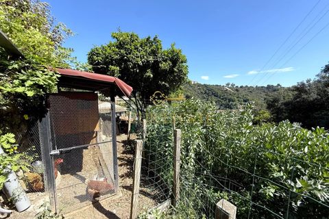 Villa i Menton, Alpes-Maritimes, Menton - € 265.000 | Ref: 86922929 - foto 2