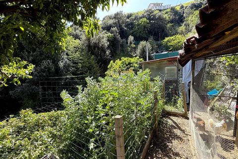 Villa i Menton, Alpes-Maritimes, Menton - € 265.000 | Ref: 86922929 - foto 7