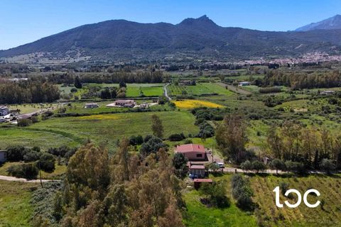 Lejlighed i Torpe, Nuoro, Torpe - € 250.000 | Ref: PO1316 - foto 3