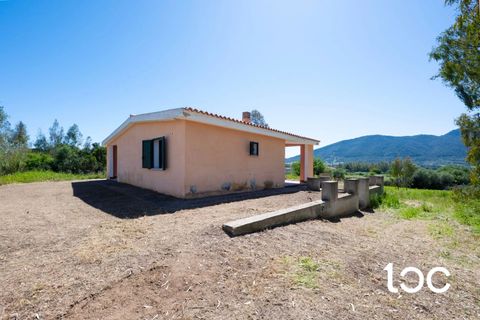 Lejlighed i Torpe, Nuoro, Torpe - € 250.000 | Ref: PO1316 - foto 5