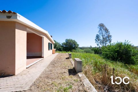 Lejlighed i Torpe, Nuoro, Torpe - € 250.000 | Ref: PO1316 - foto 21
