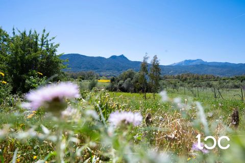 Lejlighed i Torpe, Nuoro, Torpe - € 250.000 | Ref: PO1316 - foto 22