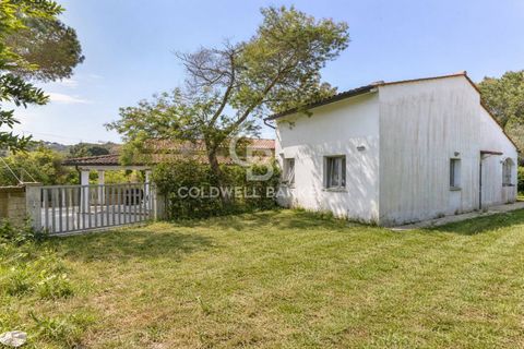 Villa a Marciana, Livorno, Marciana - € 390.000 | Ref: CBI123-1456-249 - foto 3