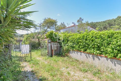 Villa a Marciana, Livorno, Marciana - € 390.000 | Ref: CBI123-1456-249 - foto 19