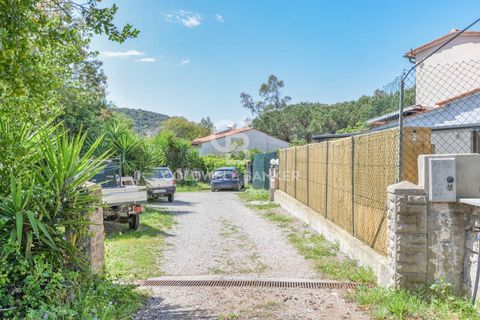 Villa a Marciana, Livorno, Marciana - € 390.000 | Ref: CBI123-1456-249 - foto 20