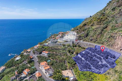 Helårsgrund i Calheta, Madeira, Calheta - € 950.000 | Ref: 123511098-152 - foto 2