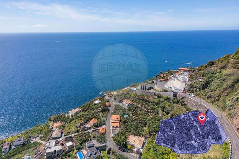Helårsgrund i Calheta, Madeira, Calheta - € 950.000 | Ref: 123511098-152 - foto 3